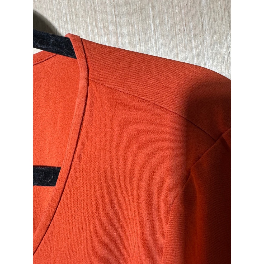 Eileen Fisher Womens Medium Burnt Orange 100% Silk Long Sleeve V-Neck Tunic Top - Picture 3 of 6